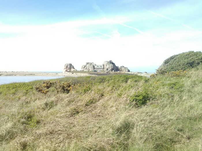 wp-1462653153078 image