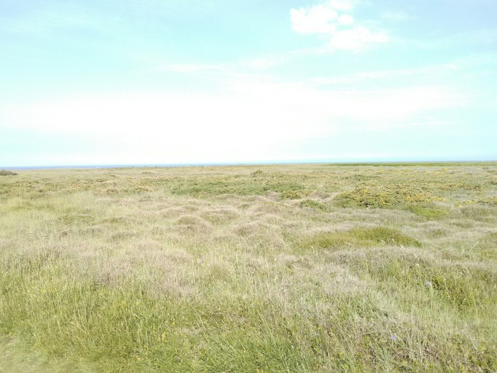 IMG_20160608_095912_1.jpg image