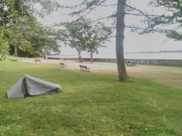 IMG_20160612_180245.jpg image